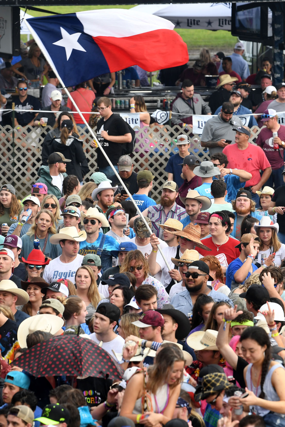 Chilifest 2019